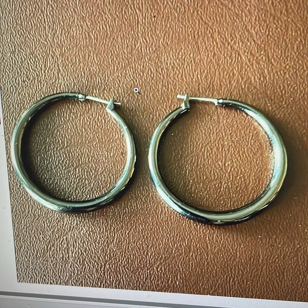 Stainless Steel Hoop Earrings